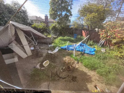 Before - 68d34b5f71fe6_1758677855.jpg