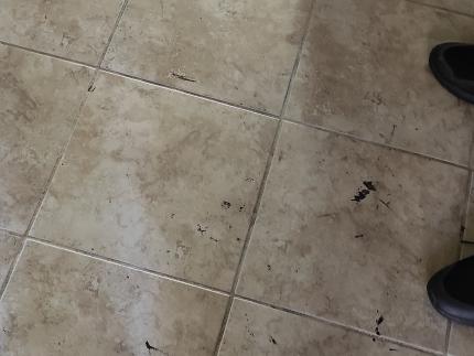 Before - 68d34b9d86cc6_1758677917.jpg