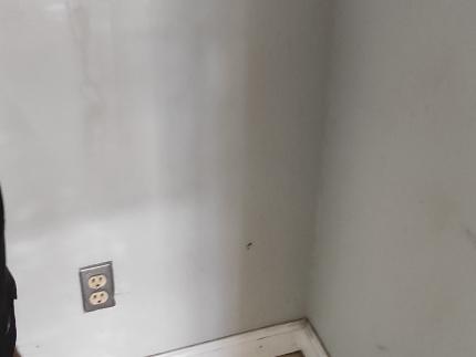 Before - 68d34b9e067d1_1758677918.jpg