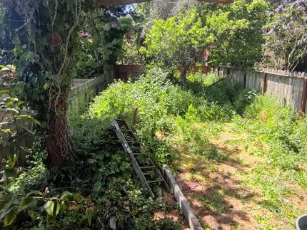 Before - 68d34b317d8fa_1758677809.jpg