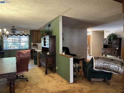 Before - 68d34b41a0b88_1758677825.jpg